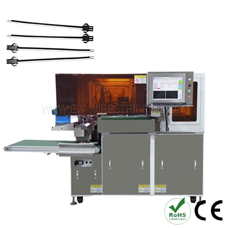 �������������� ����� ��������� ������� � �������� ������� ������� � ��������� EW-8295